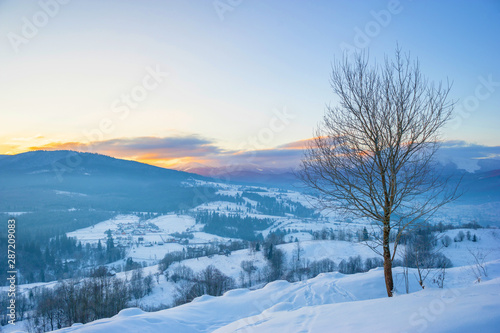 Wallpaper Mural winter landscape.  Torontodigital.ca