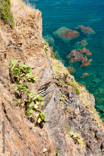 Cap de Peyrefite, Languedoc-Roussillon, France photo