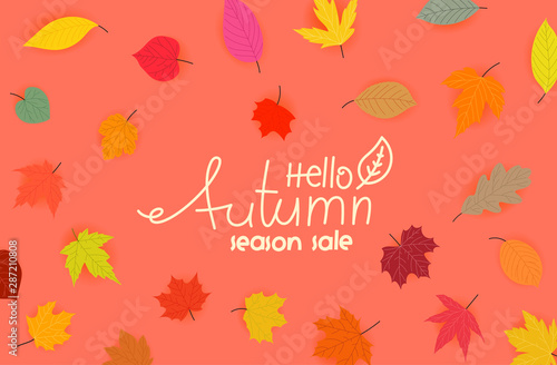 Autumn special offer calligraphic logo with color fall leaves. Special offer