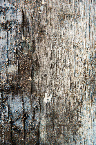 old wooden board, background
