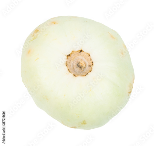 Pattypan white squash isolated on white photo