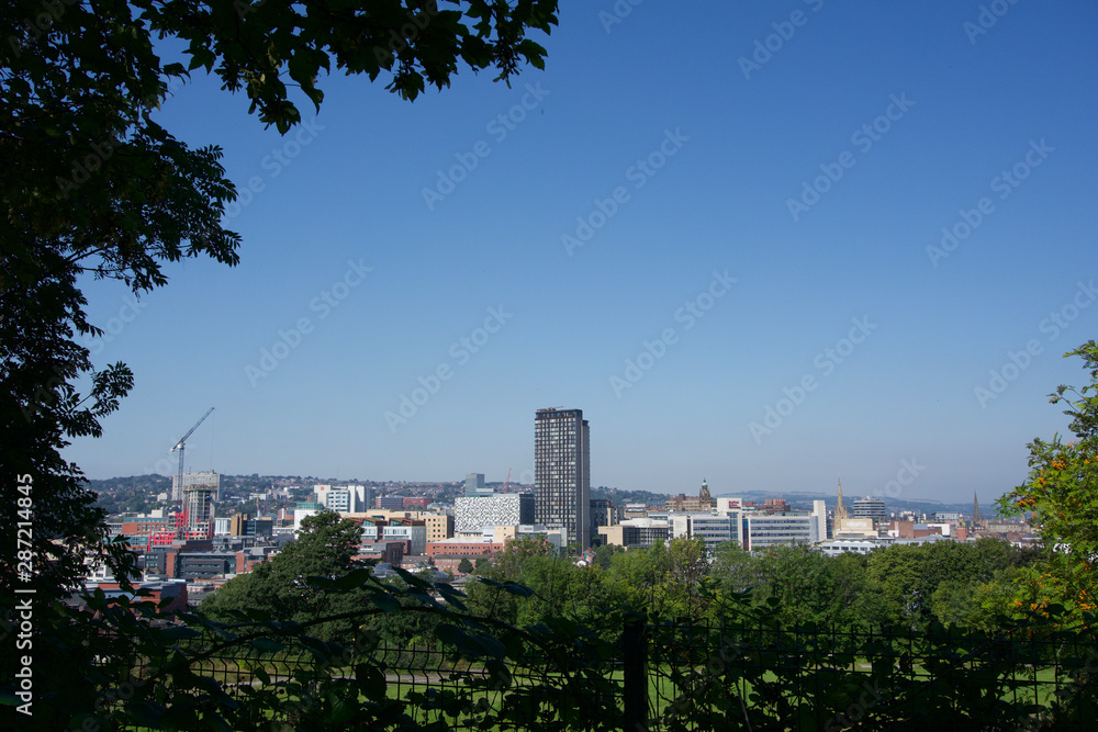 Sheffield City Centre view through trees