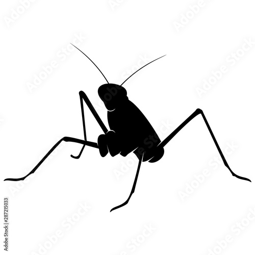 Grasshopper Logo Design Vector Illustration. Grasshopper Design Template © shuttersport