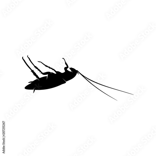Cockroach Logo Design Vector Illustration. Cockroach Design Template