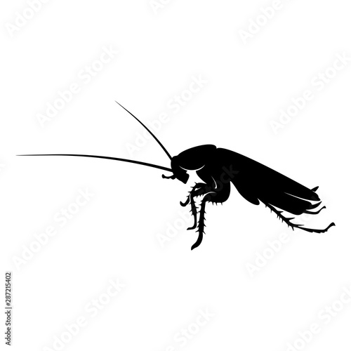 Cockroach Logo Design Vector Illustration. Cockroach Design Template