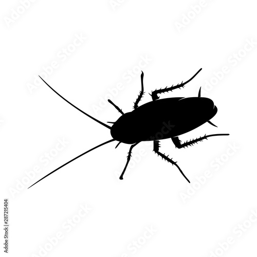 Cockroach Logo Design Vector Illustration. Cockroach Design Template © shuttersport