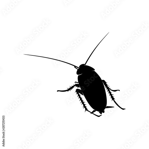 Cockroach Logo Design Vector Illustration. Cockroach Design Template
