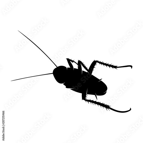 Cockroach Logo Design Vector Illustration. Cockroach Design Template
