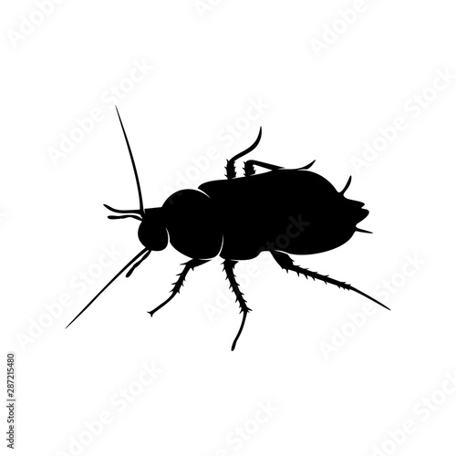 Cockroach Logo Design Vector Illustration. Cockroach Design Template © shuttersport