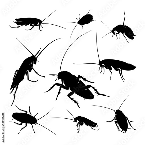 Set of Cockroach Logo Design Vector Illustration. Cockroach Design Template