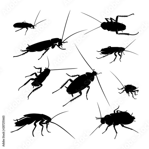 Set of Cockroach Logo Design Vector Illustration. Cockroach Design Template