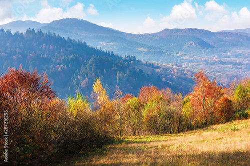 mountainous autumn countryside in the mourning. magical hazy weather with clouds on the blue sky above the ridge in the distance. trees in colorful foliage on the edge of a hill © Pellinni