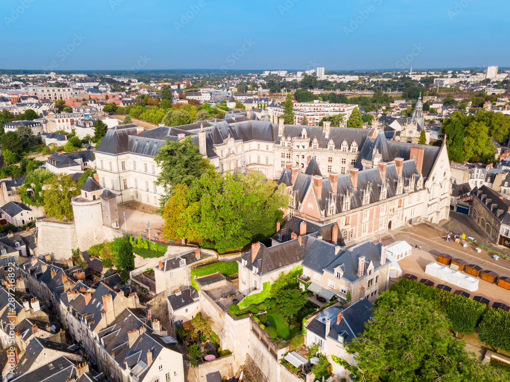 Royal Chateau de Blois, France