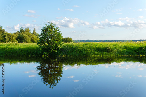 summer landscape of a calm oxbow lake with grassy shores