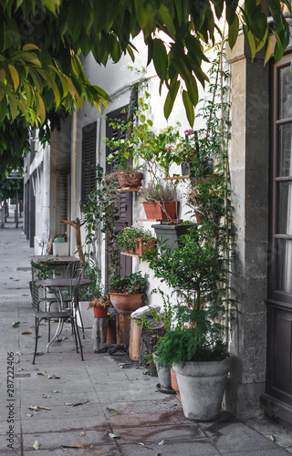 Mediterranean terrace with plants in pots, Cyprus © Daria