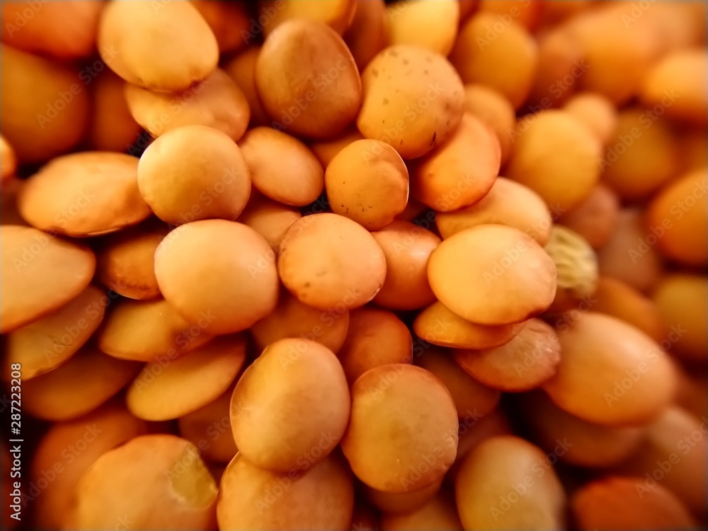 Detail of uncooked brown lentils Detail of uncooked brown lentils