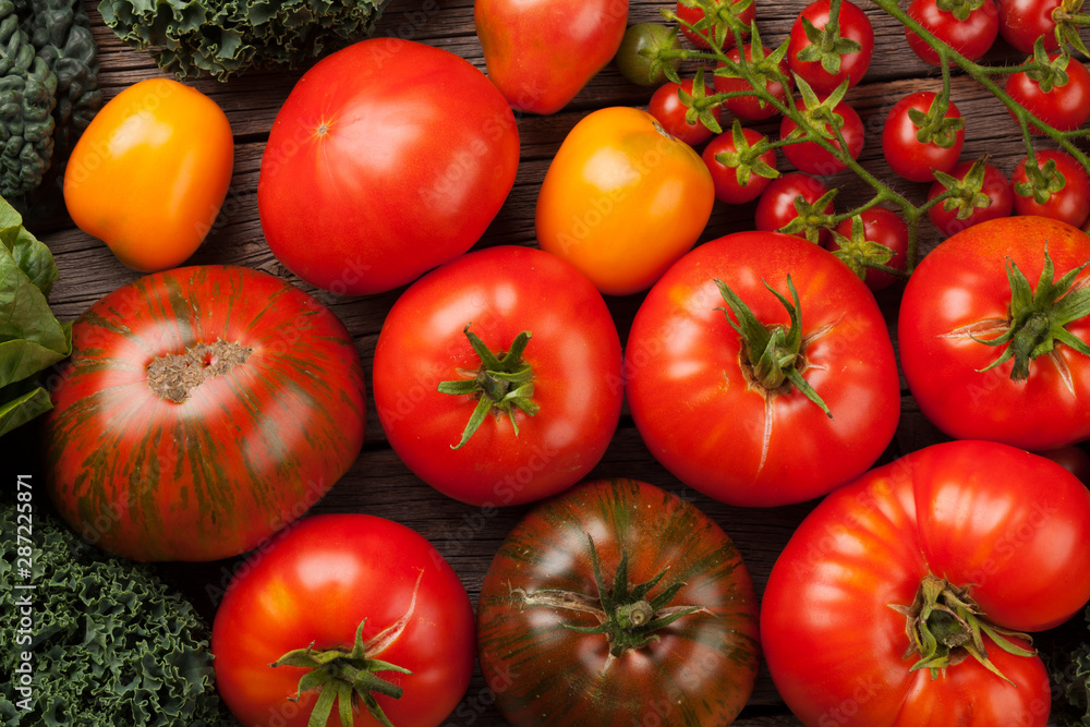 Fototapeta premium Fresh garden tomatoes