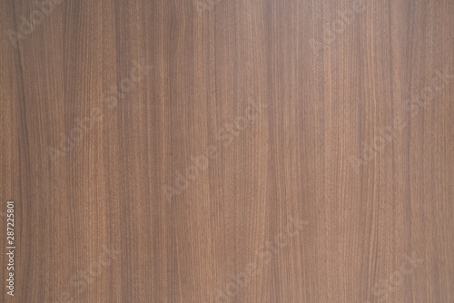 Veneer wood seamless pattern in oak wood color / seamless texture / background texture  / interior material