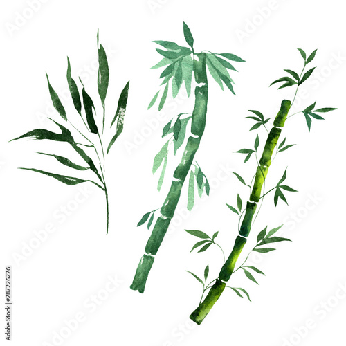 Fototapeta Naklejka Na Ścianę i Meble -  Bamboo green leaves and stalks. Watercolor background illustration set. Isolated bamboo illustration element.