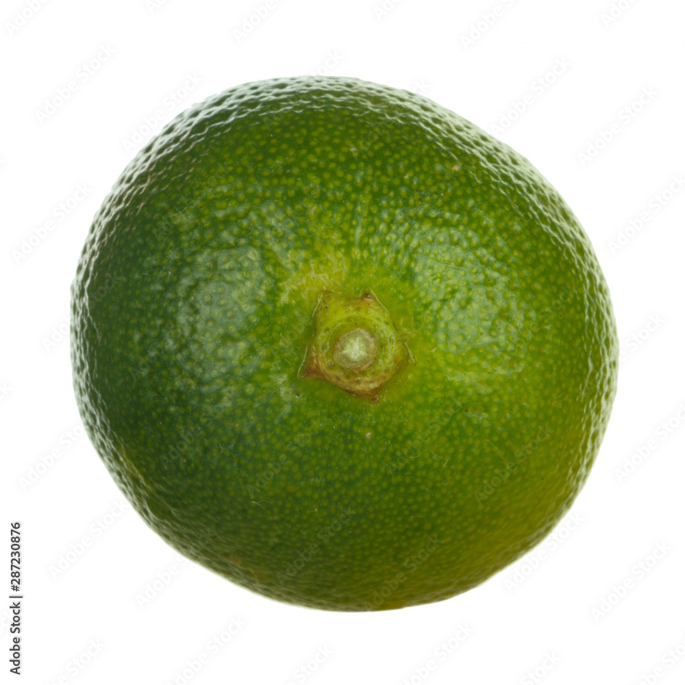 fresh green limequat on white background