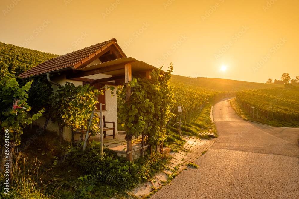 Hütte und Strasse im Weinberg mit Sonne Gegenlicht