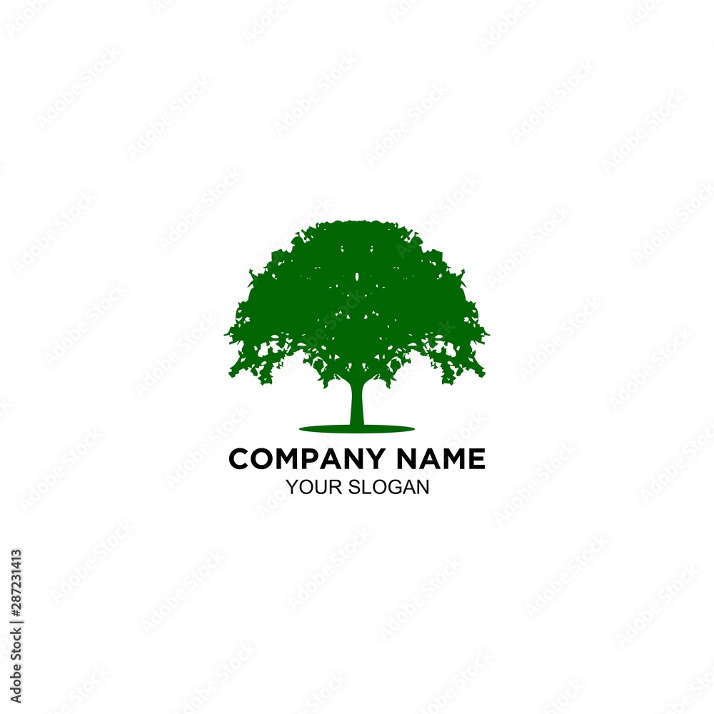 natural oak tree logo design vector