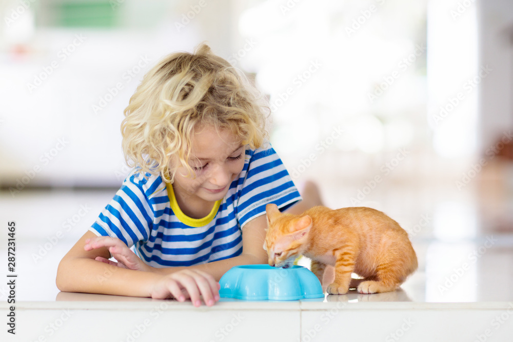 Little child holding baby cat. Kids and pets Little child holding baby cat. Kids and pets