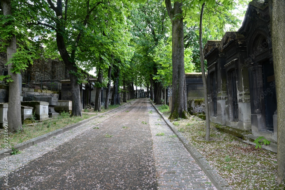 von Bäumen gesäumte Straße auf dem Pariser Friedhof Montmatre in Frankreich