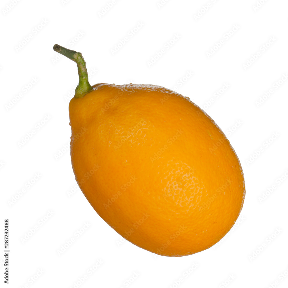 orange single lemon isolated on background
