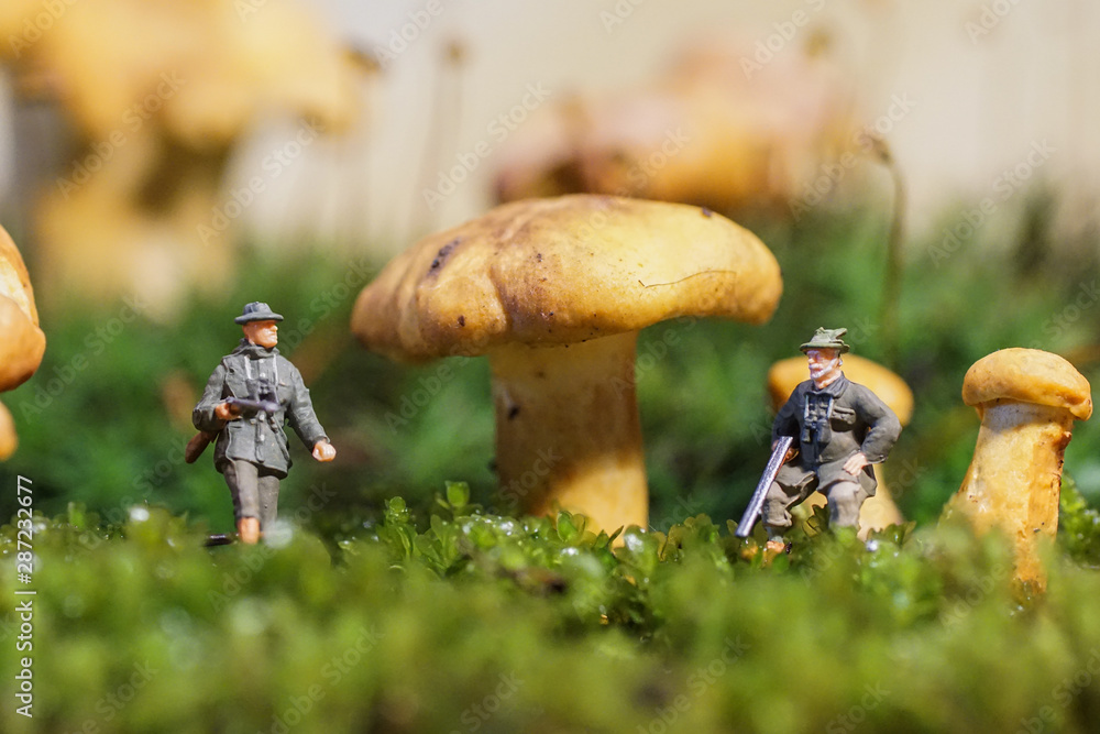 Schwammerljäger im Pfifferlingwald