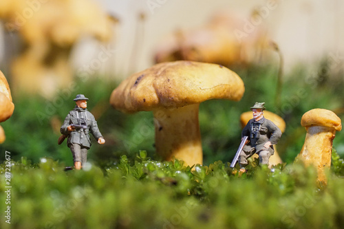 Obraz na płótnie Schwammerljäger im Pfifferlingwald w salonie