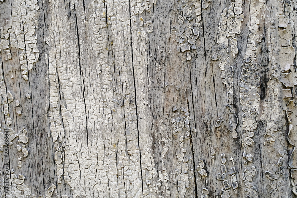 Old peeling paint on a wooden surface. retro wall background. Old peeling paint on a wooden surface. retro wall background.