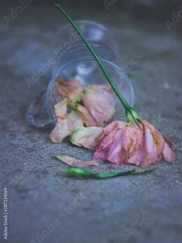 Withered pink flowers and a glass cup close-up