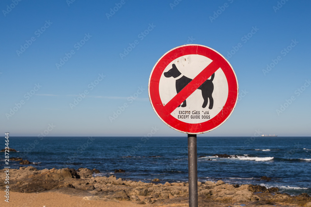 No dogs sign and Atlantic ocean