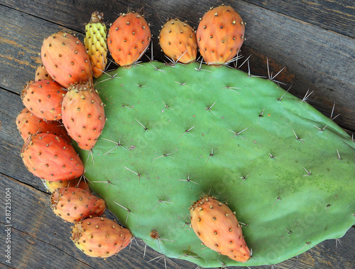 Prickly and delicious edible fruits. Opuntia cactus with large flat pads and red thorny edible fruits. Cactaceae. Prickly pears Sabra cacti on a wood  photo