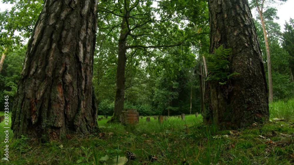 First World War German Soldiers And Victims Cemetery In The Forest. Pan Left First World War German Soldiers And Victims Cemetery In The Forest. Pan Left