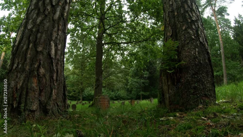 First World War German Soldiers And Victims Cemetery In The Forest. Pan Right First World War German Soldiers And Victims Cemetery In The Forest. Pan Right
