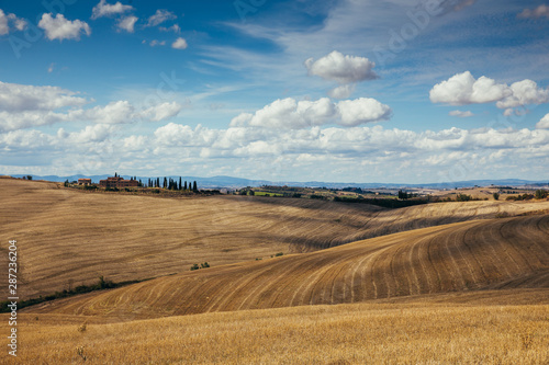 Rolling hills in autumn after harvest. © belyaaa