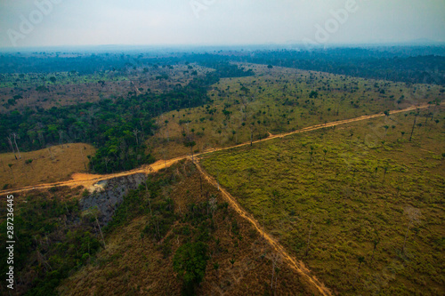 Roads and Pasture areas derived from illegal deforestation near the Menkragnoti Indigenous Land. Pará - Brazil