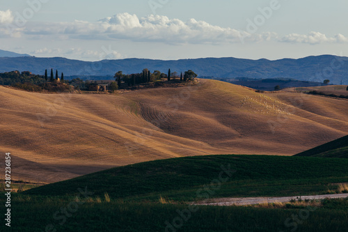 Rolling hills in autumn after harvest. © belyaaa