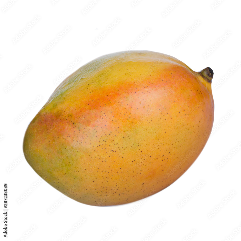 single fresh orange mango isolated on white background single fresh orange mango isolated on white background