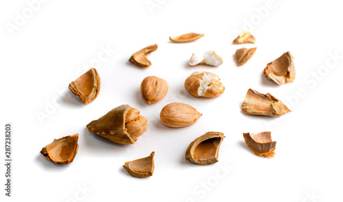 Dry Apricot Kernels and Nutshell Isolated on White Background