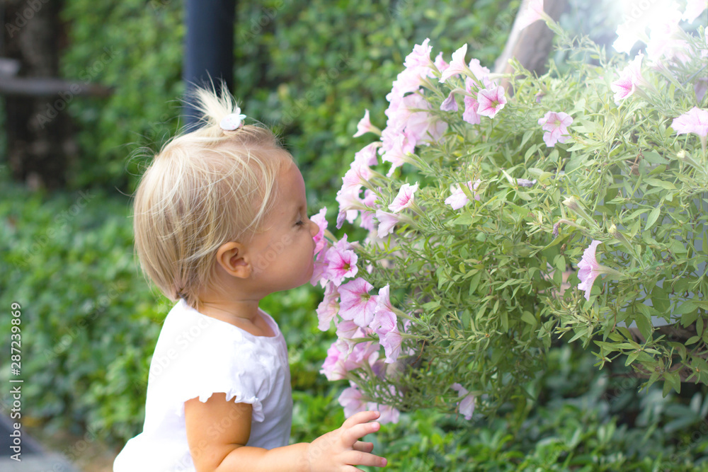Cute blond baby in white t-shirt smells pink flowers in sunny summer morning. Cute blond baby in white t-shirt smells pink flowers in sunny summer morning.
