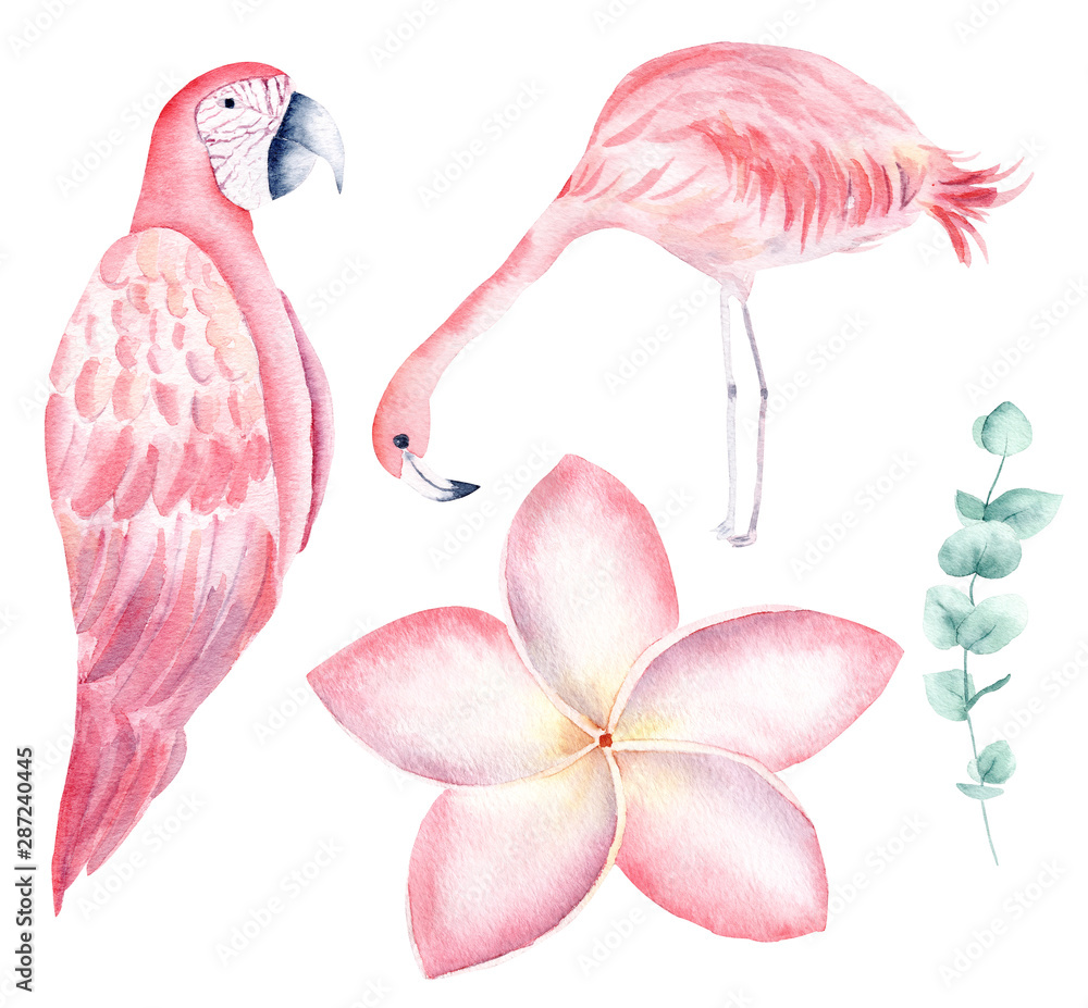 Tropical nature hand drawn watercolor raster illustration set