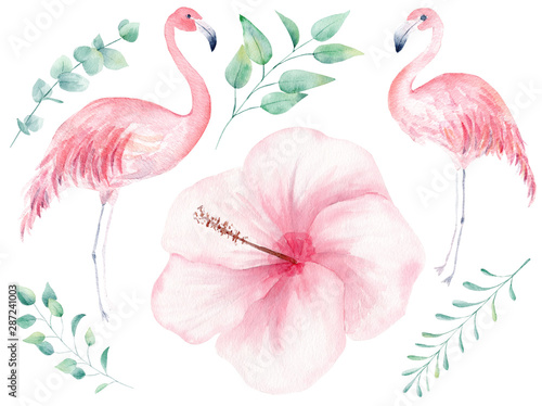 Obraz na płótnie Tropical nature hand drawn watercolor raster illustration set w salonie