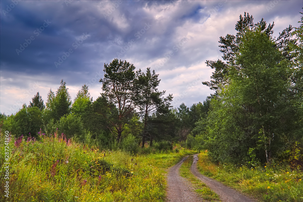 Summer meadow landscape with green grass and wild flowers on the background of a forest. Summer meadow landscape with green grass and wild flowers on the background of a forest.