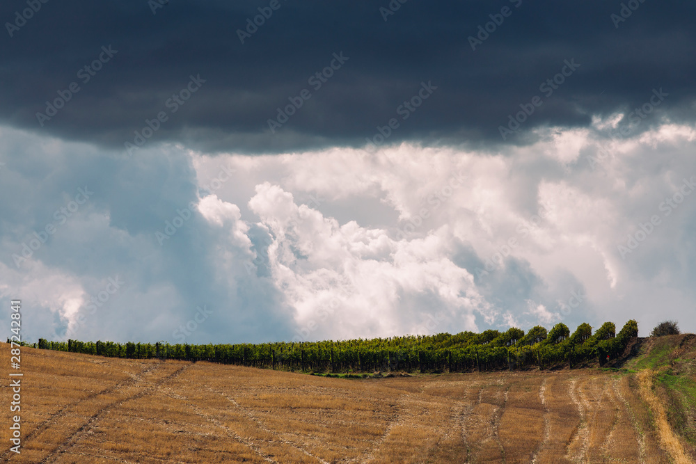 Rolling hills in autumn at harvest. Rolling hills in autumn at harvest.