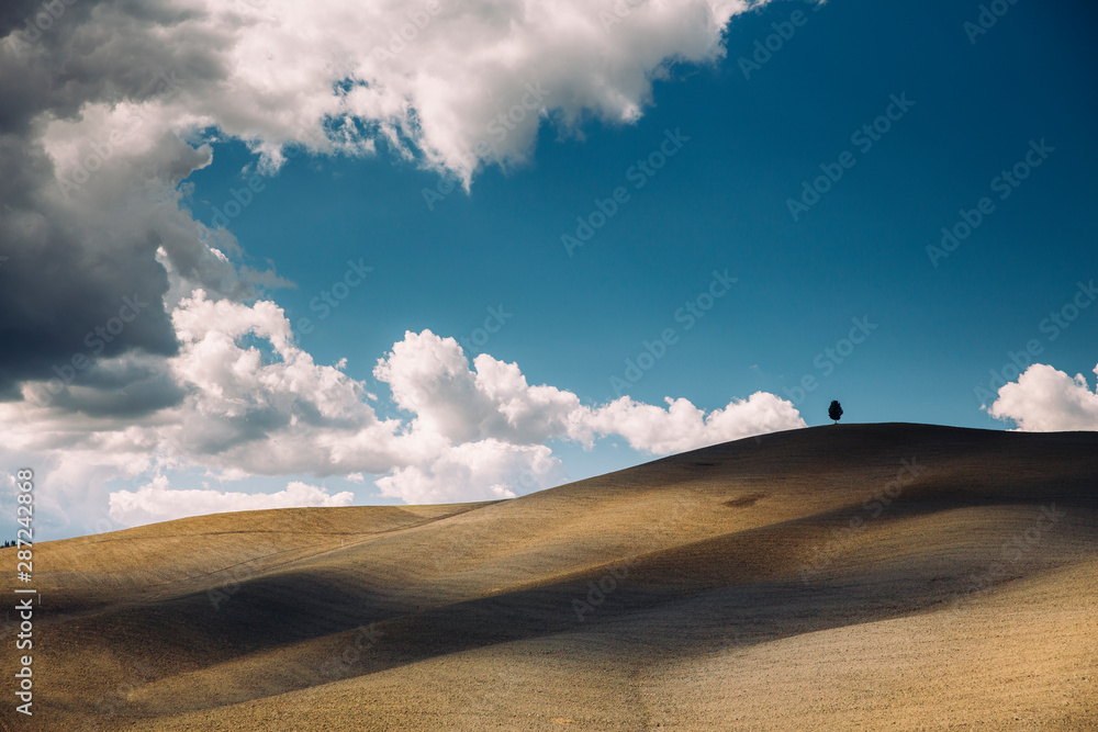 Rolling hills in autumn at harvest.