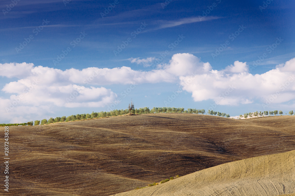 Beautiful Tuscan hills is autumn. Beautiful Tuscan hills is autumn.