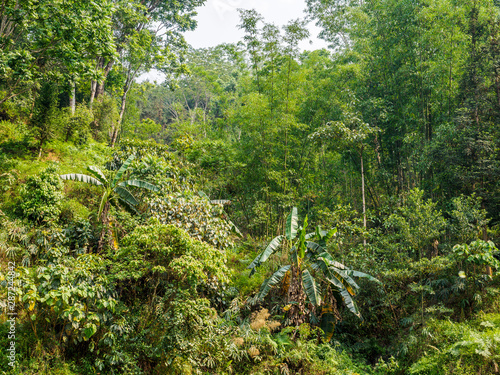 Forest landscape between Luoping and Duoyihe river in Yunnan province China. photo